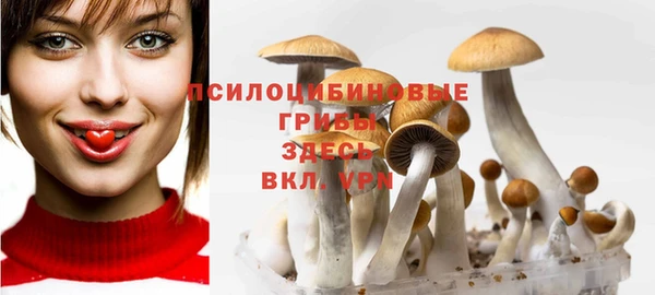 сатива Протвино