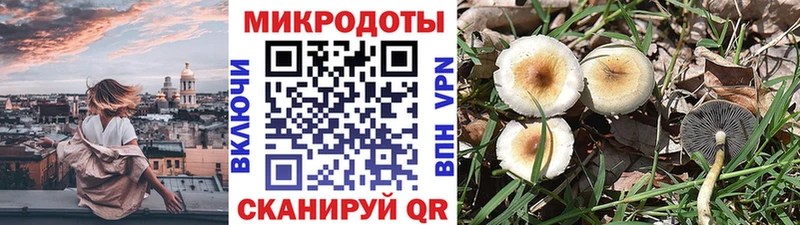 Галлюциногенные грибы Cubensis  Дзержинский 