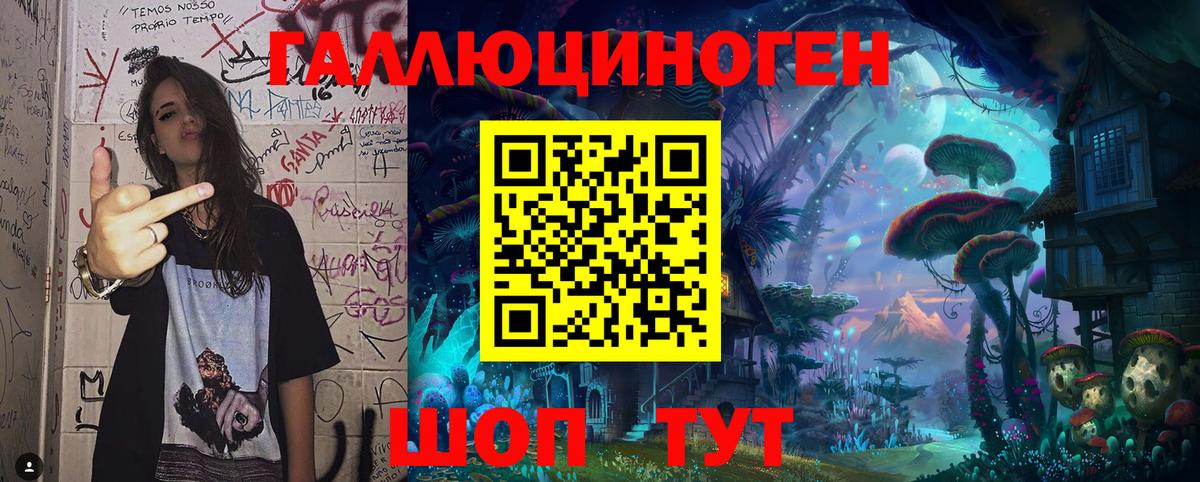 Псилоцибиновые грибы Cubensis Дзержинский