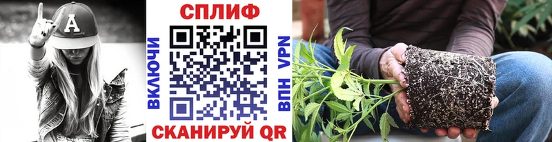 KRAKEN рабочий сайт Дзержинский Бошки Шишки VHQ купить сайты